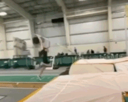 Pole Vault Fail